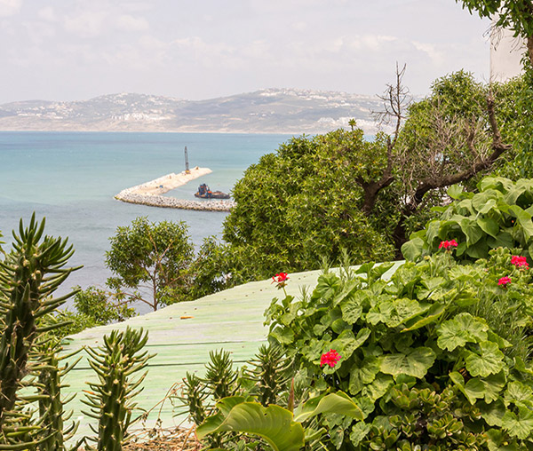 up-agency-smartphone-our-tangier