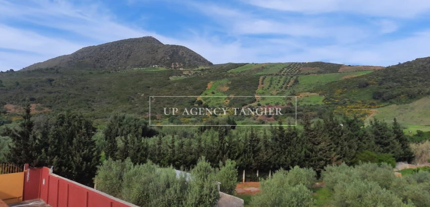 Ferme pédagogique sur très grand terrain à Ksar Sghir