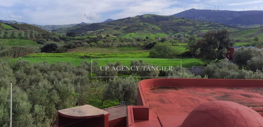 Ferme pédagogique sur très grand terrain à Ksar Sghir