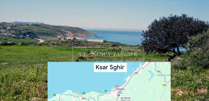 Terrain à Ksar Sghir (I)