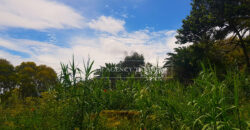 Large plot of 30,000 m2 in the “Old Mountain” sector in Tangier