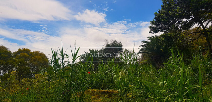 Large plot of 30,000 m2 in the “Old Mountain” sector in Tangier