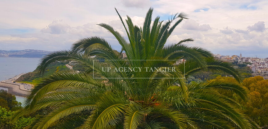 Large plot of 30,000 m2 in the “Old Mountain” sector in Tangier