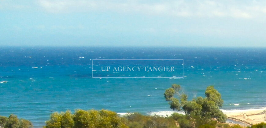 Large plot of 45,000 m2 in the “Old Mountain” sector in Tangier