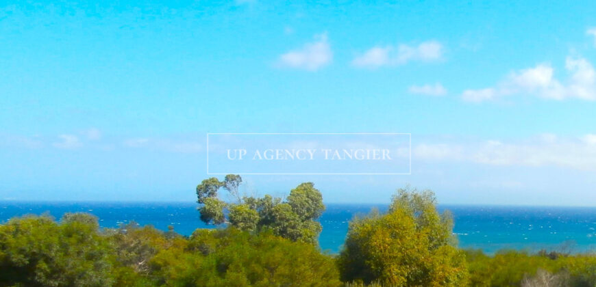 Large plot of 45,000 m2 in the “Old Mountain” sector in Tangier