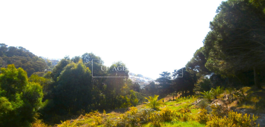 Large plot of 45,000 m2 in the “Old Mountain” sector in Tangier
