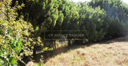 Large plot of 45,000 m2 in the “Old Mountain” sector in Tangier