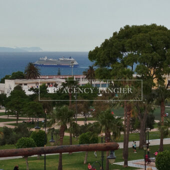 Large riad in the Marshan district (Tangier) with tree-lined courtyard