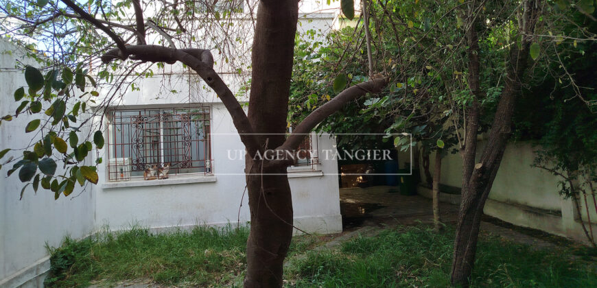 Grand riad dans le quartier de Marshan (Tanger) avec cour arborée