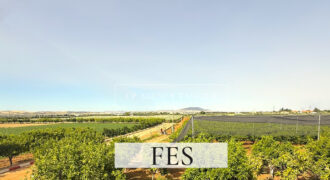 Domaine agricole de luxe dans la région de Fès, Maroc