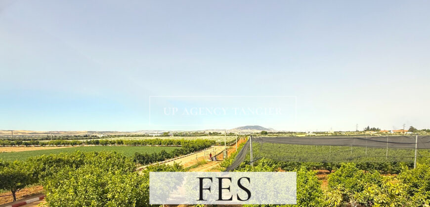 Domaine agricole de luxe dans la région de Fès, Maroc