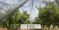 Domaine agricole de luxe dans la région de Fès, Maroc