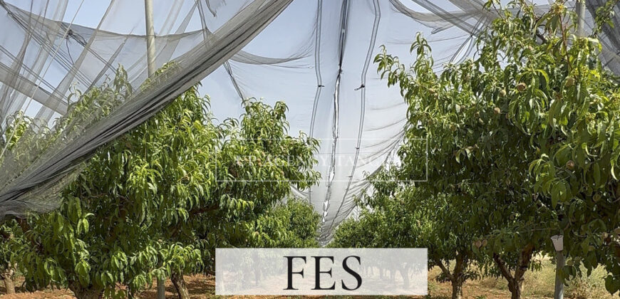 Domaine agricole de luxe dans la région de Fès, Maroc