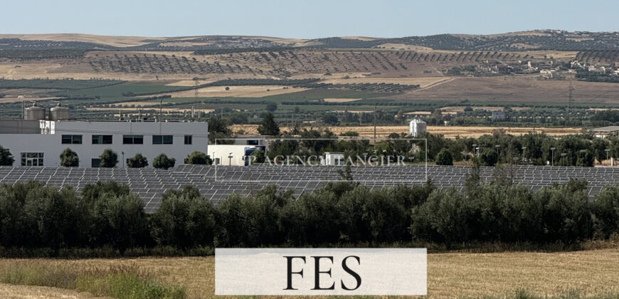 Domaine agricole de luxe dans la région de Fès, Maroc