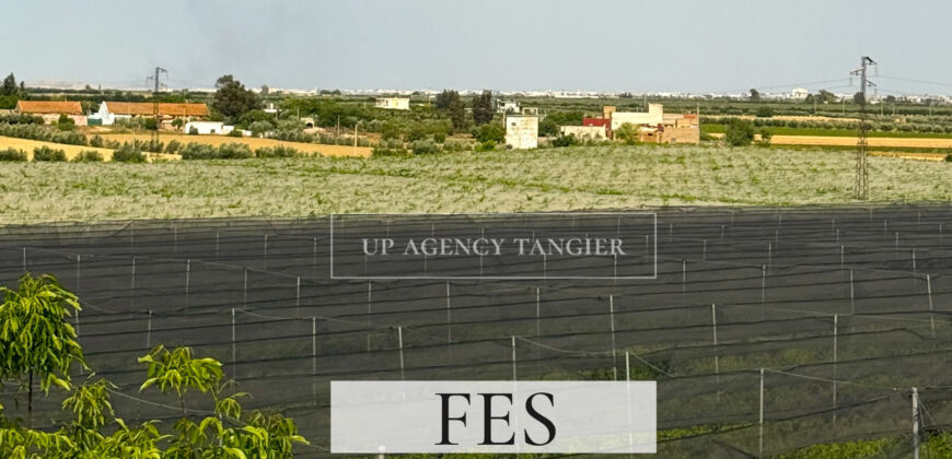Domaine agricole de luxe dans la région de Fès, Maroc