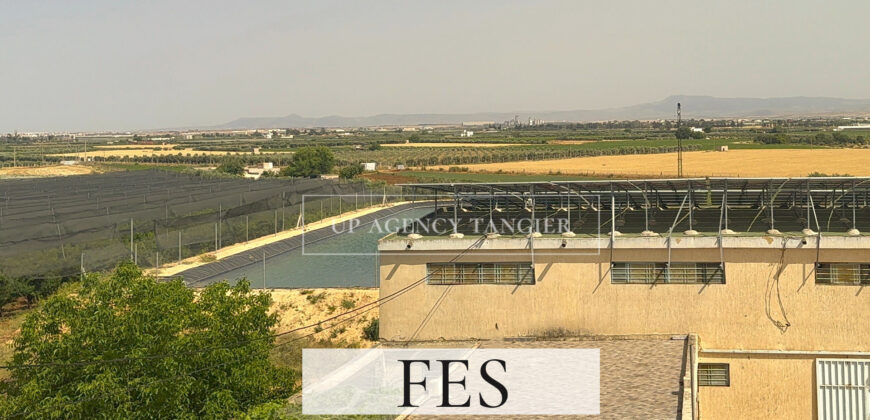 Domaine agricole de luxe dans la région de Fès, Maroc