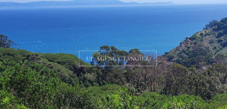 Terrain constructible de 50.000m2 à Mediouna (Tanger)