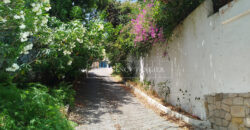 Beautiful villa for sale from the 50s in the ‘Old Moutain’ (Tangier)
