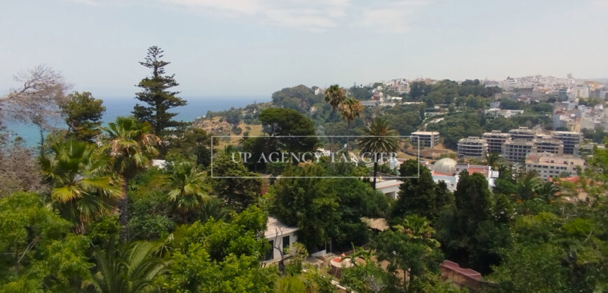 Beautiful villa for sale from the 50s in the ‘Old Moutain’ (Tangier)