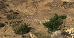 [video] 7,000 m² sea front land in Asilah