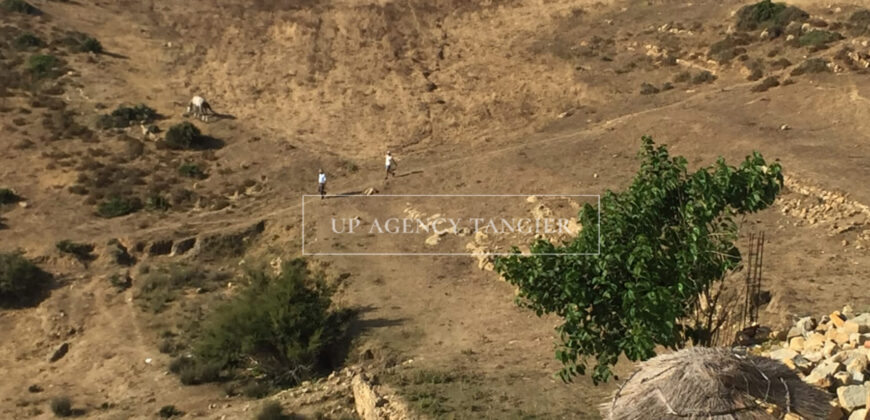 [video] 7,000 m² sea front land in Asilah