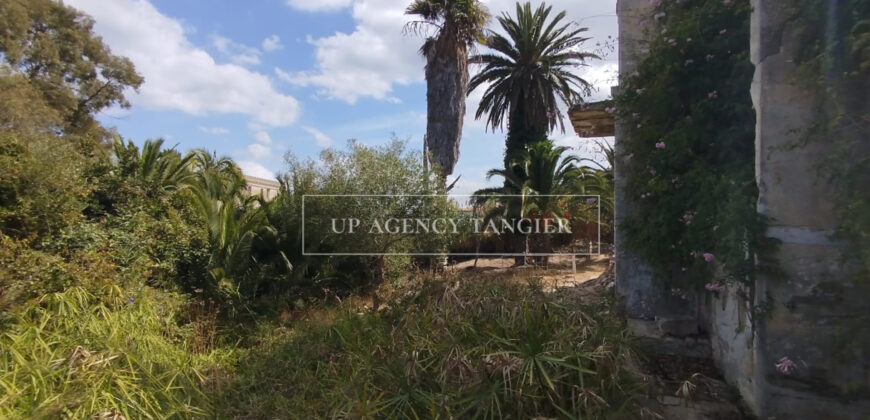 Deux maisons à rénover à Tanger, Marshan, face à la mer