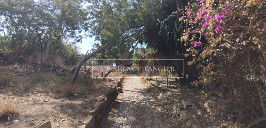 Deux maisons à rénover à Tanger, Marshan, face à la mer