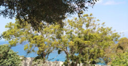 Deux maisons à rénover à Tanger, Marshan, face à la mer