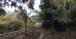 Deux maisons à rénover à Tanger, Marshan, face à la mer