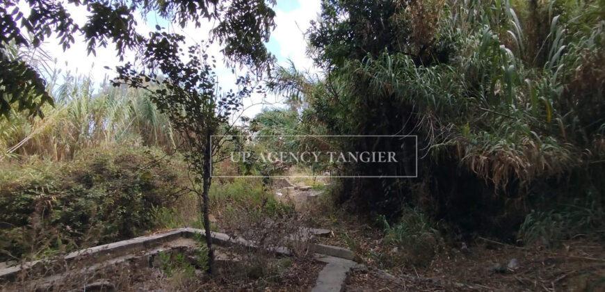 Deux maisons à rénover à Tanger, Marshan, face à la mer