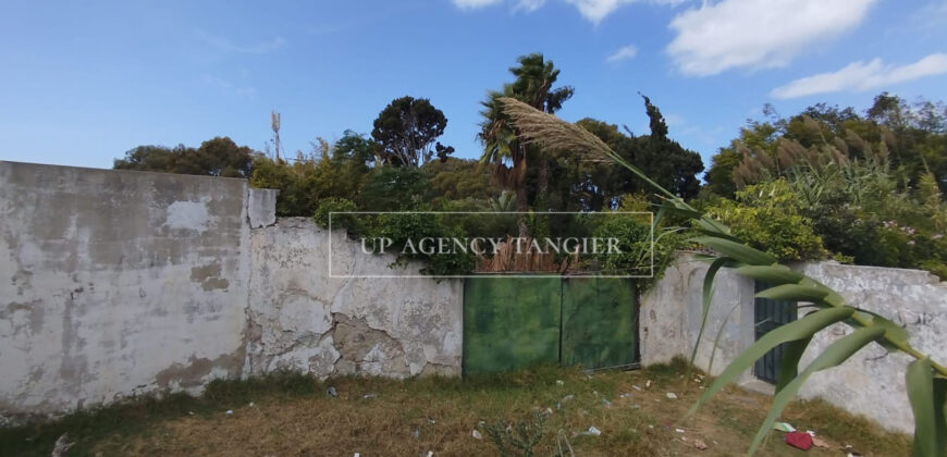 Deux maisons à rénover à Tanger, Marshan, face à la mer