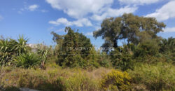 Deux maisons à rénover à Tanger, Marshan, face à la mer