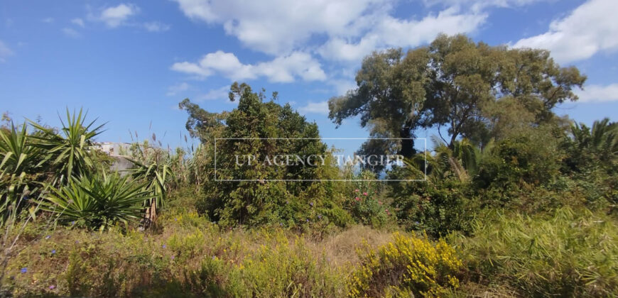 Deux maisons à rénover à Tanger, Marshan, face à la mer