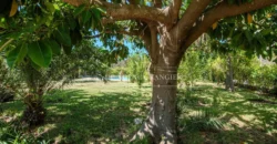 Large villa for sale in Tangier, Old Moutain district