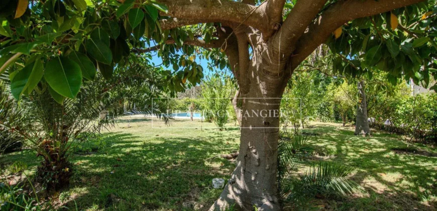 Large villa for sale in Tangier, Old Moutain district