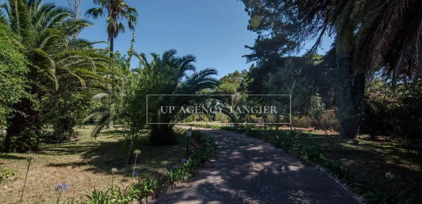 Large villa for sale in Tangier, Old Moutain district