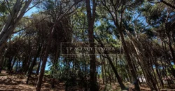 Large villa for sale in Tangier, Old Moutain district