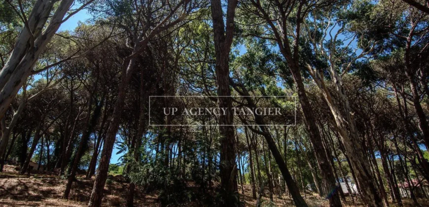 Large villa for sale in Tangier, Old Moutain district