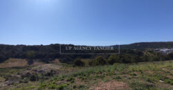 Beautiful building plot in Tangier, Boubana Forest