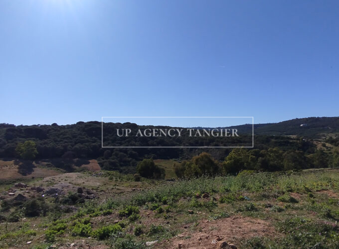 Beautiful building plot in Tangier, Boubana Forest