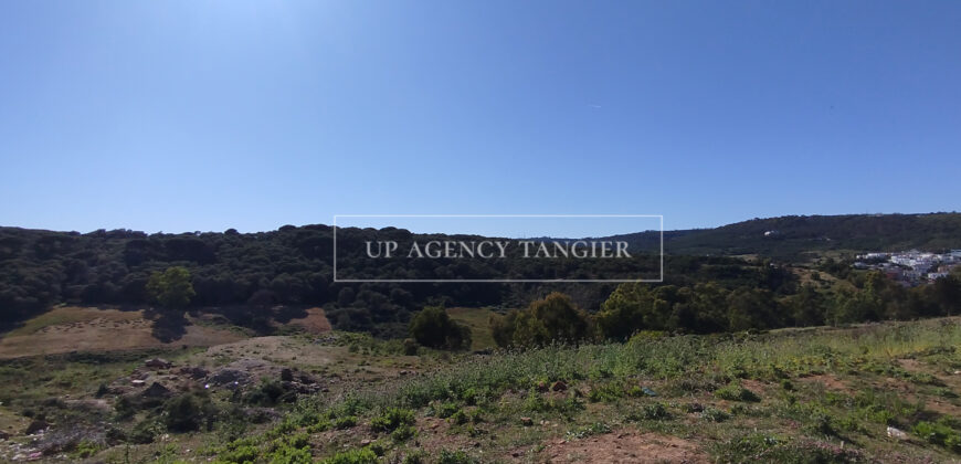 Beautiful building plot in Tangier, Boubana Forest