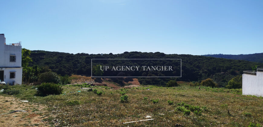 Beautiful building plot in Tangier, Boubana Forest