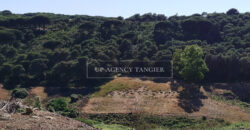 Beautiful building plot in Tangier, Boubana Forest