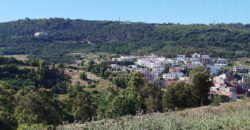 Beautiful building plot in Tangier, Boubana Forest