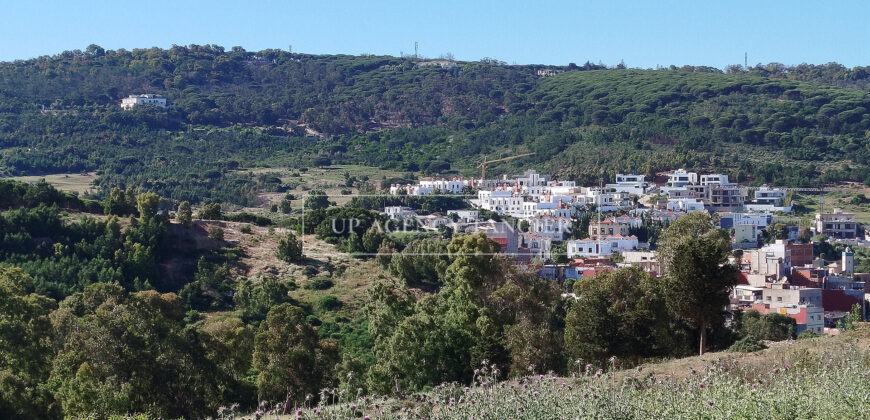 Beautiful building plot in Tangier, Boubana Forest