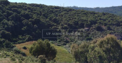 Beautiful building plot in Tangier, Boubana Forest