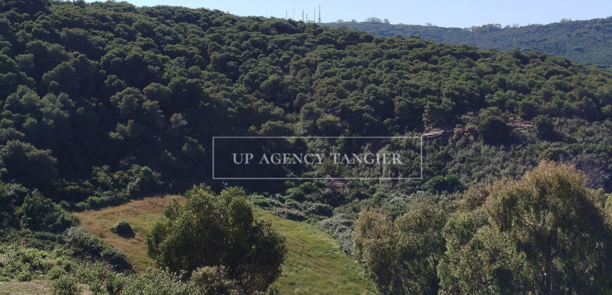 Beautiful building plot in Tangier, Boubana Forest
