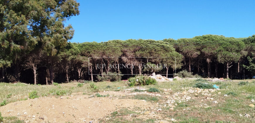 Beautiful building plot in Tangier, Boubana Forest