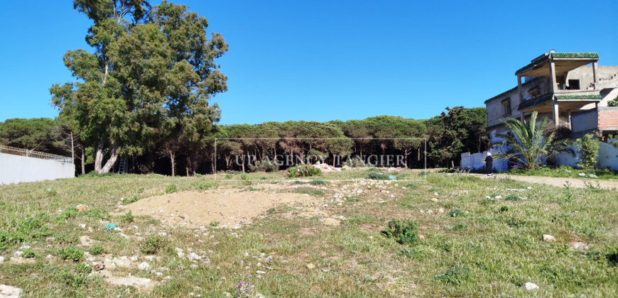 Beautiful building plot in Tangier, Boubana Forest