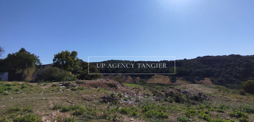 Beautiful building plot in Tangier, Boubana Forest